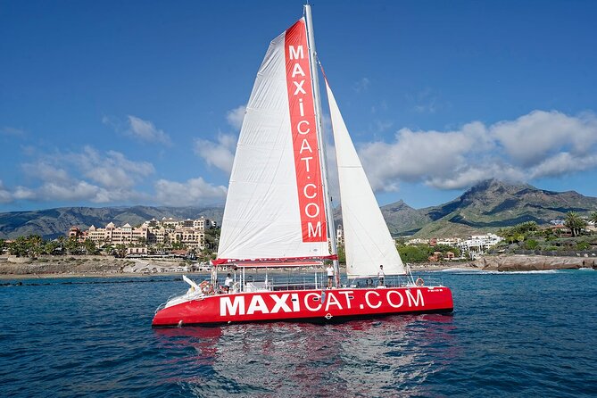 Tour with Whale and Dolphin Watching plus food included - Key points to know before you book