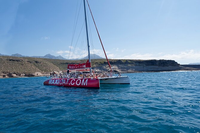 Tour with Whale and Dolphin Watching plus food included - Watching dolphins, pilot whales, and sea birds