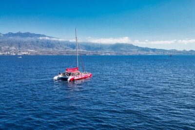 Tour with Whale and Dolphin Watching plus food included