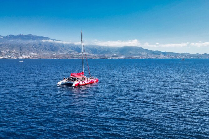 Tour with Whale and Dolphin Watching plus food included - Leaving Puerto Colón for the southern coast