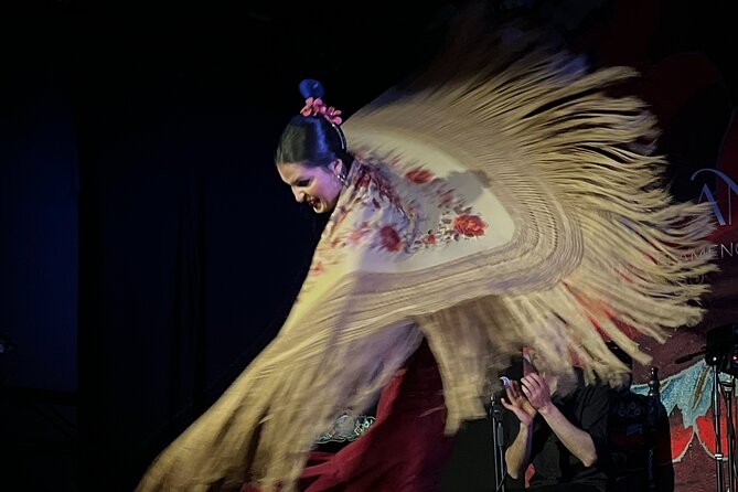 Traditional Flamenco Show at Tablao Casa Ana - A good first flamenco show, with a few limits