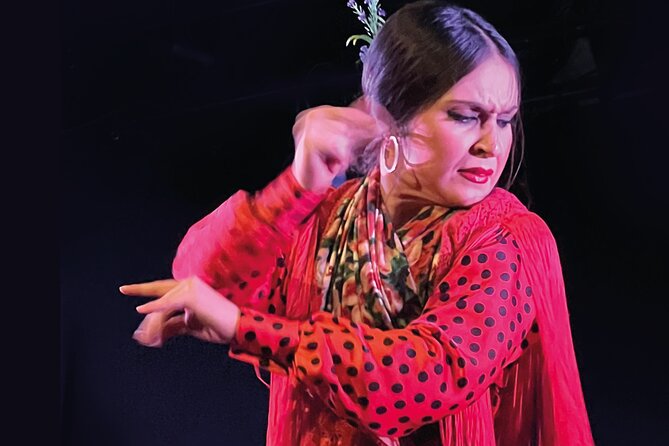 Traditional Flamenco Show at Tablao Casa Ana - Is $21.77 good value?