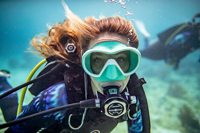 Try Dive - PADI Discover Scuba Diving in Tenerife - At a glance