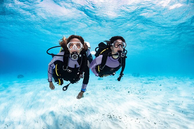 Try Dive - PADI Discover Scuba Diving in Tenerife - Meeting at Radazul Marina at 3 p.m.