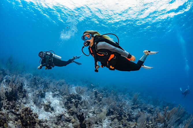 Try Dive - PADI Discover Scuba Diving in Tenerife - Learning the basics before entering the water