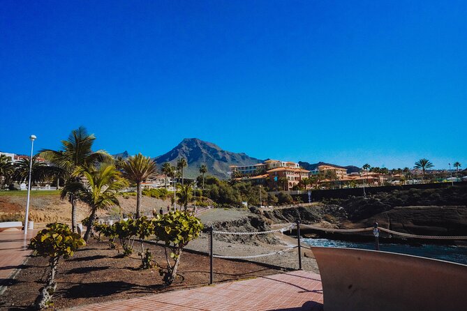Tuk Tuk Tours in Costa Adeje - Timing, meeting point, and weather