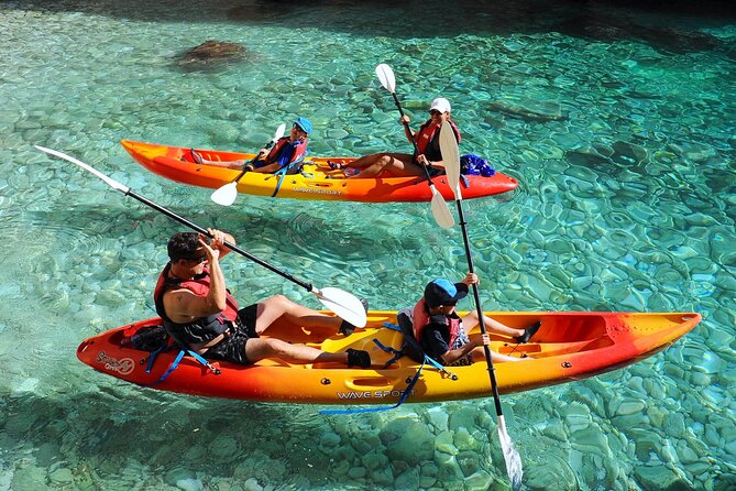 Uncharted Caves & Snorkelling Heaven: Cala Granadella Kayak Tour - Cova del Llop Mari and its sea life