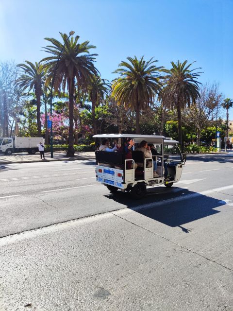 Valencia: 2-hour City Highlights Guided Tuk-Tuk Tour - What the two-hour timing really gives you