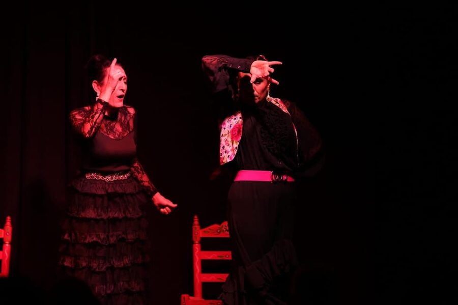 Valencia: Authentic Flamenco Show Entry Ticket - The opening: guitar, voice, and a quiet room