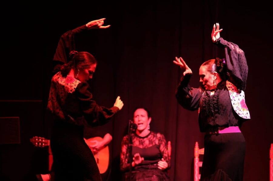 Valencia: Authentic Flamenco Show Entry Ticket - The dancers: footwork, posture, and emotion