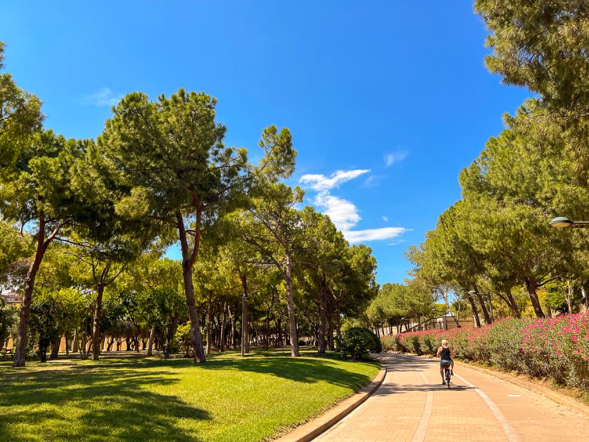 Valencia Bike Tours: City Highlights - Bikes, comfort, and physical effort