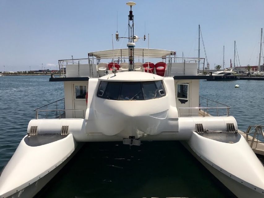 Valencia: Catamaran Cruise, Paella Lunch and Swim Stop - Key Details Before You Book