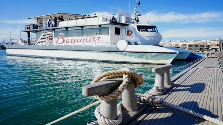 Valencia: Catamaran Cruise, Paella Lunch and Swim Stop - How to Make the Most of the 2.5 Hours
