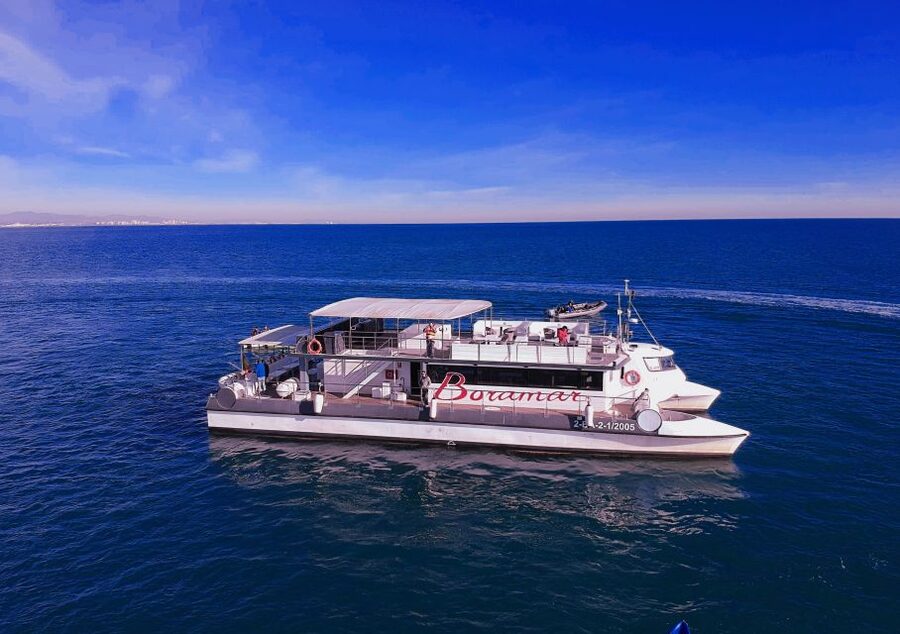 Valencia: Catamaran Cruise with Stop for Swimming - Key points to know before you book