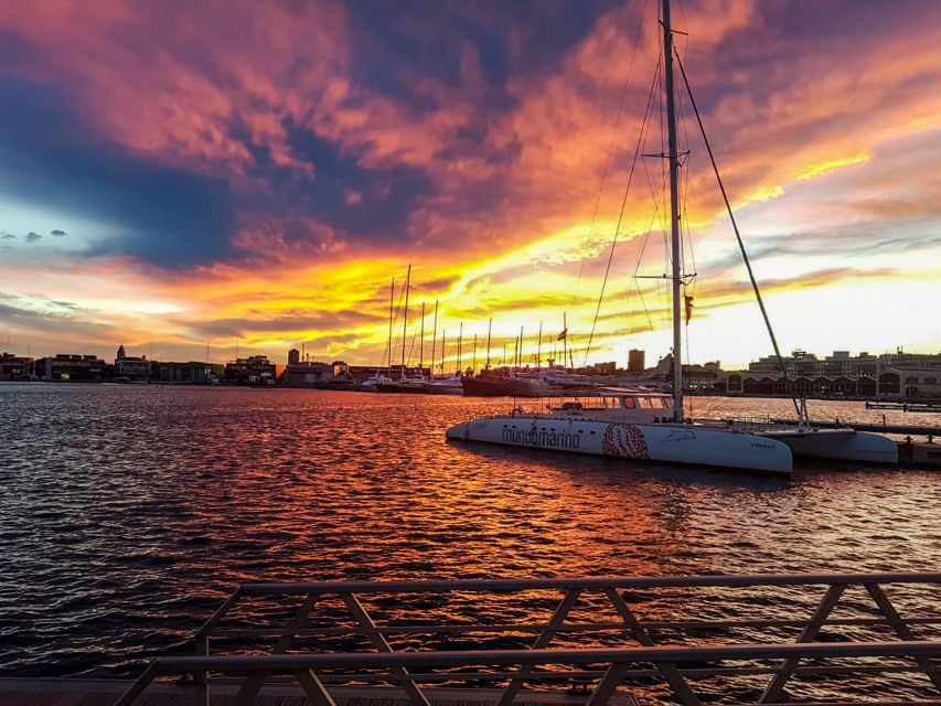 Valencia: Catamaran Cruise with Sunset Option - Why the sunset cruise earns the extra attention