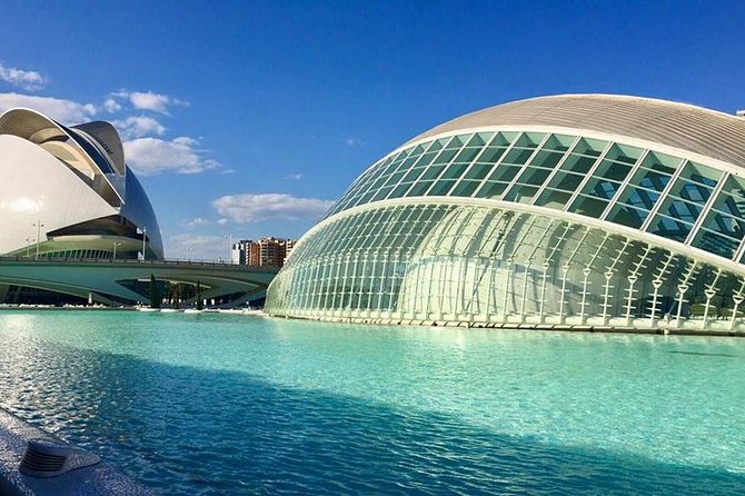 Valencia City Excursion - From Albir, Benidorm & Calpe - Walking through the Turia riverbed gardens