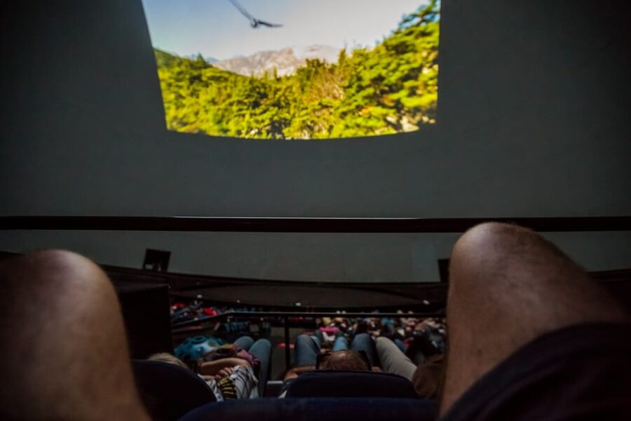 Valencia: City of Arts and Science 3D Movie at Hemisfèric - A practical one-hour visit
