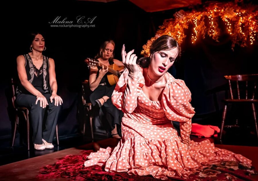 Valencia: Flamenco Show at Tablao La Reina - A one-hour introduction to flamenco in central Valencia