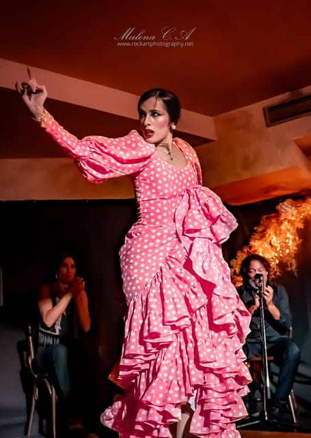 Valencia: Flamenco Show at Tablao La Reina - Who will enjoy Tablao La Reina most?