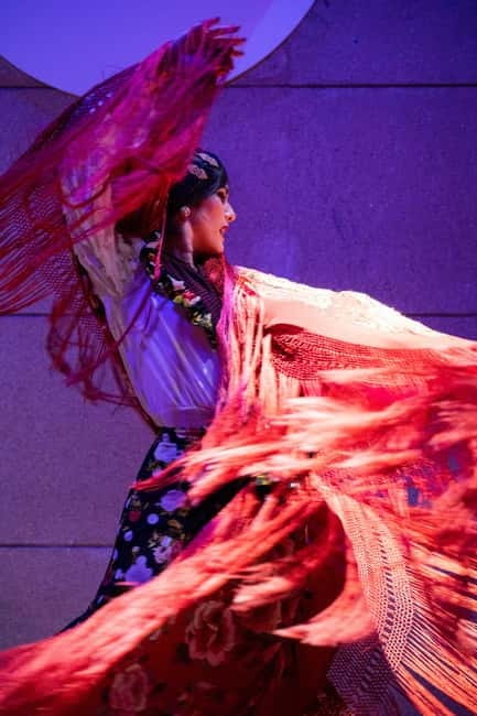 Valencia: La Linterna Flamenco Show - Key points to know before you go