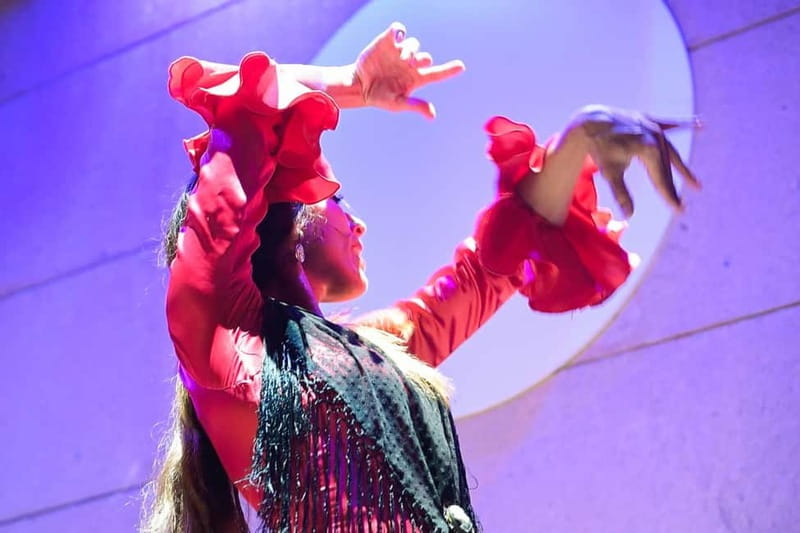 Valencia: La Linterna Flamenco Show - Is $25 a fair price?