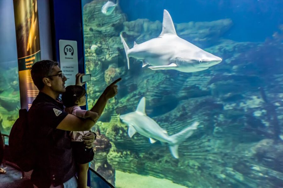 Valencia: Oceanogràfic Entry Ticket - What your $44 ticket gets you at Oceanogràfic
