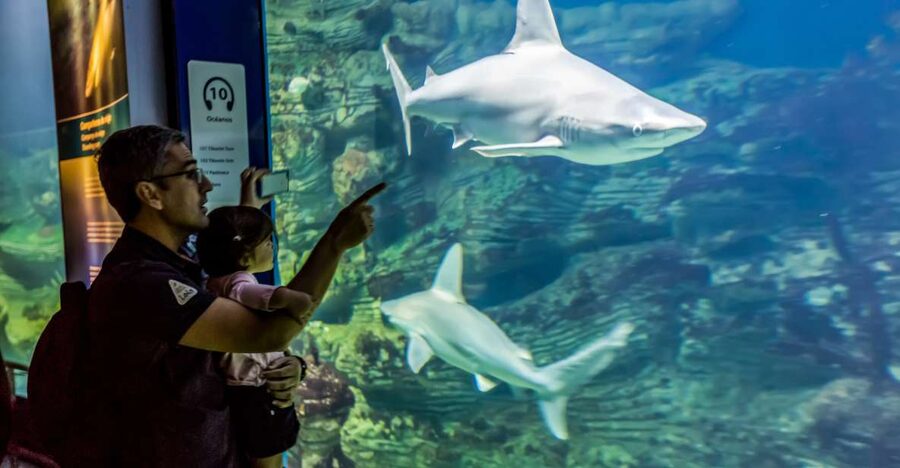 Valencia: Oceanogràfic Entry Ticket - Follow the world’s marine zones