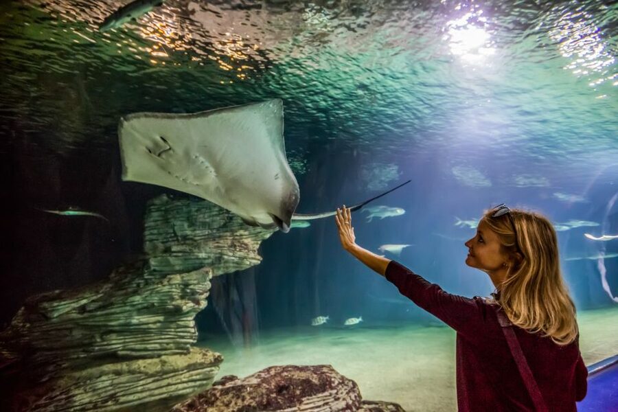 Valencia: Oceanogràfic Entry Ticket - How long to stay and when to visit