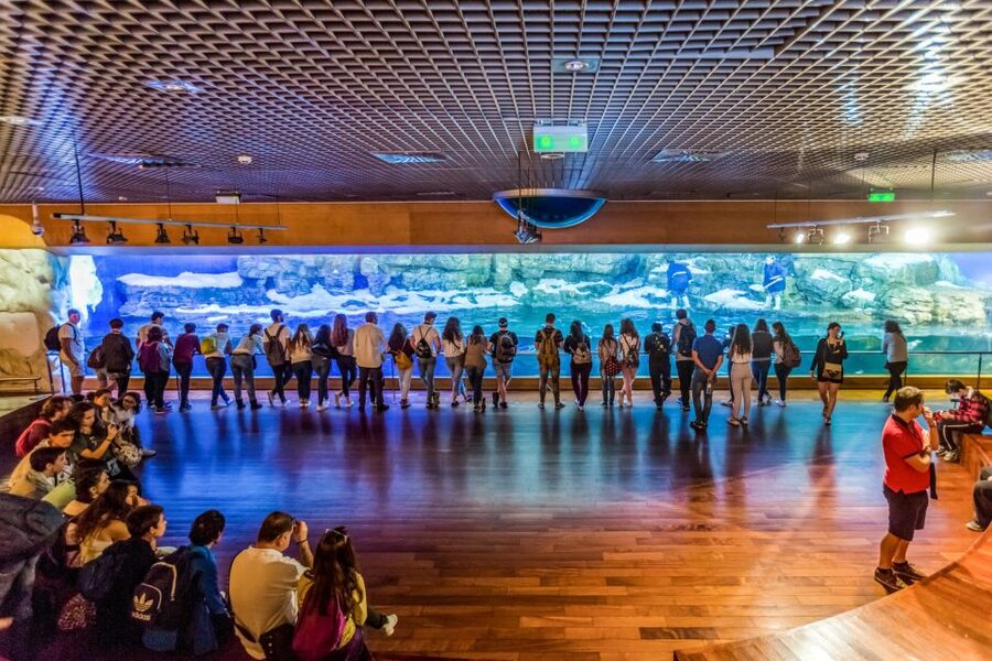 Valencia: Oceanogràfic Entry Ticket - What to know before presenting your voucher