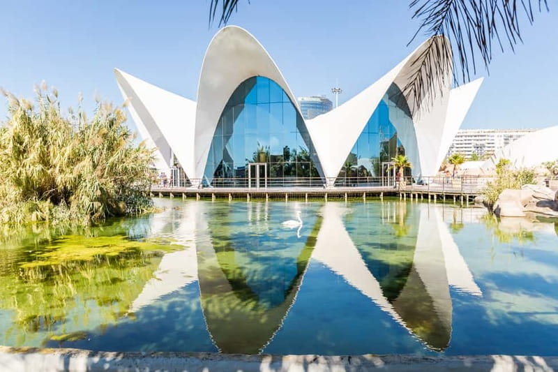 Valencia: Oceanogràfic, Hemisfèric & Science Museum Combo - Should you book the Valencia combo?