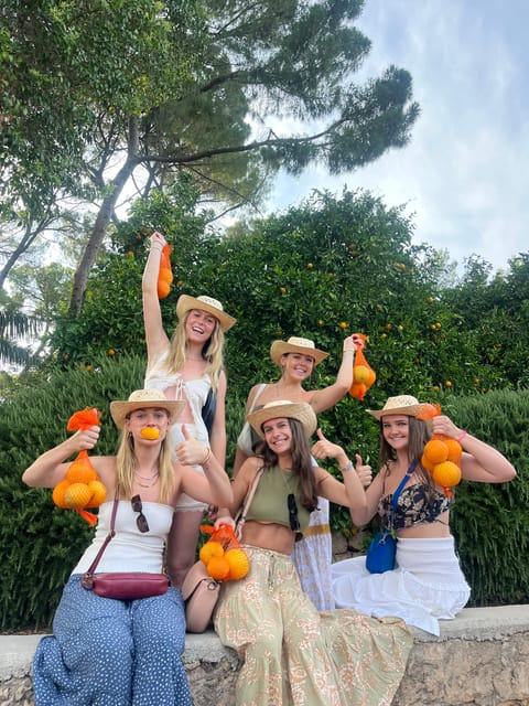 Valencia: Orange Farm and Orchard Trip with Tastings - Five reasons this orchard visit earns a place in your Valencia plans