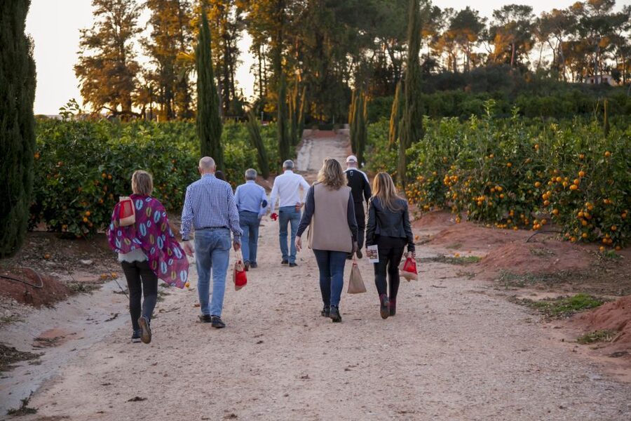 Valencia: Orange Farm and Orchard Trip with Tastings - Why Carcaixent makes sense for an orange tour