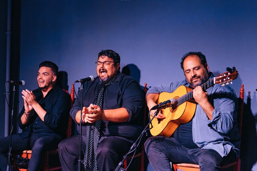 Valencia: Palosanto Flamenco Show Ticket - Quick points before you book