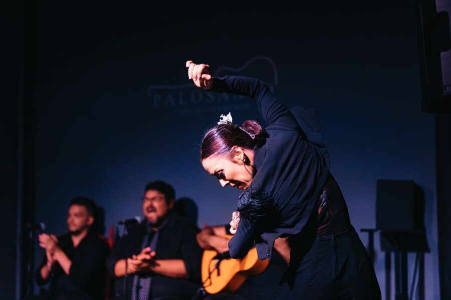 Valencia: Palosanto Flamenco Show Ticket - Finding Palosanto in Cabanyal