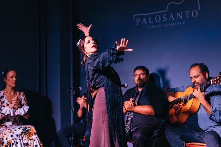 Valencia: Palosanto Flamenco Show Ticket - Access, timing, and cancellation flexibility