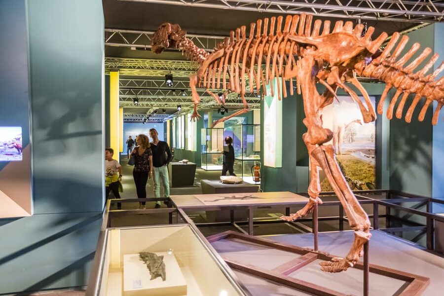 Valencia: Principe Felipe Science Museum Entry Ticket - Practical tips for a smoother visit