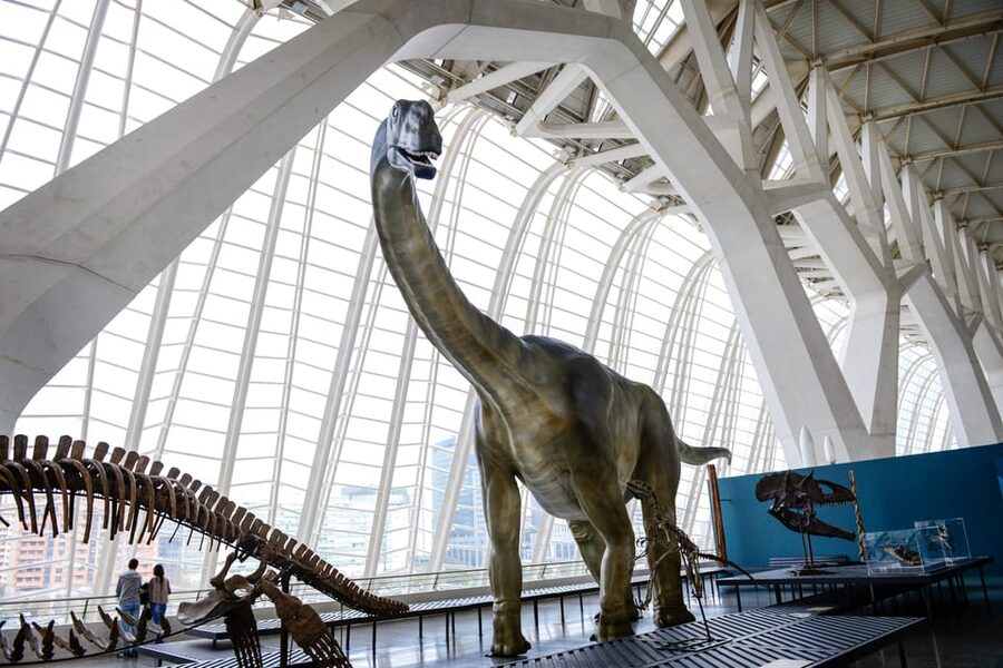 Valencia: Principe Felipe Science Museum Entry Ticket - How long should you allow?