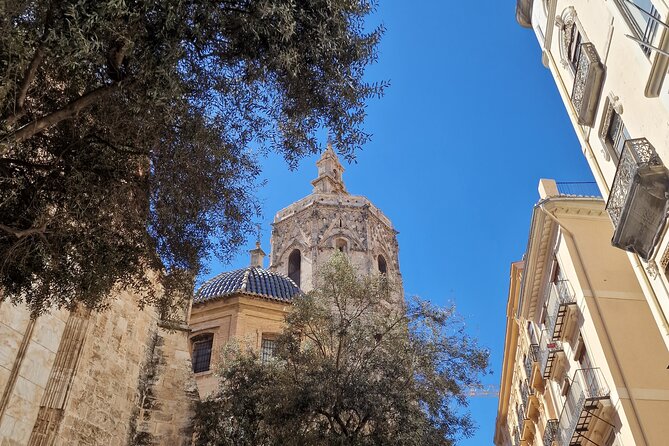 Valencia Private Walking Tour with Official Valencian Guide - Why this private walk works well at the start