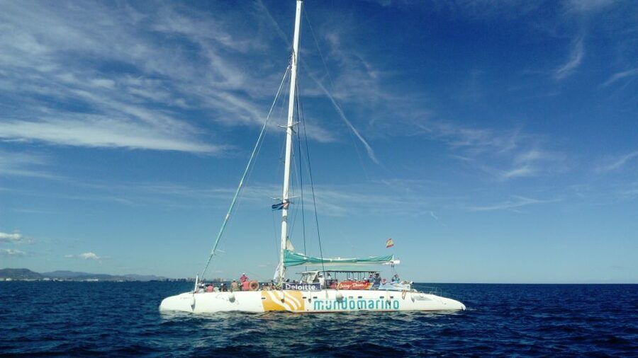 Valencia: Sailing Catamaran Cruise with Valencian Lunch - What to bring and how to prepare