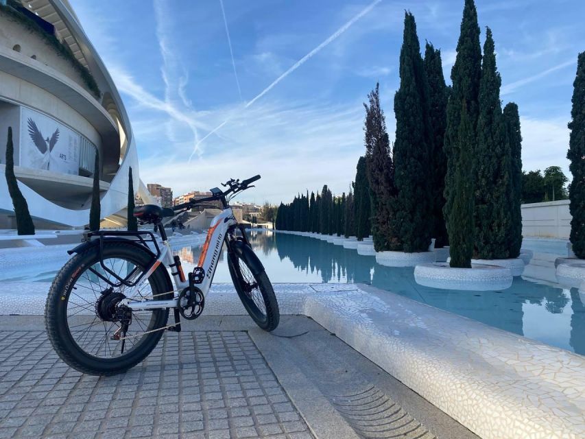 Valencia: Top 25 Highlights Guided Bike Tour - North Train Station and Plaza del Ayuntamiento