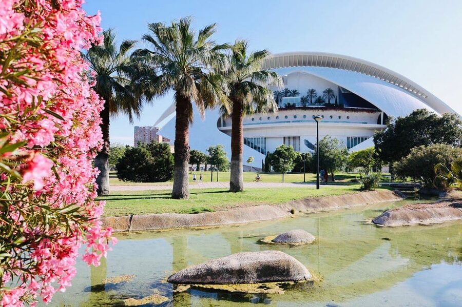 Valencia: Top 25 Highlights Guided Bike Tour - Mercado Central and the Lonja de la Seda