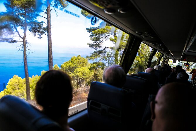 Valldemosa and Valley of Soller Tour in Mallorca - The vintage tram to Port de Sóller