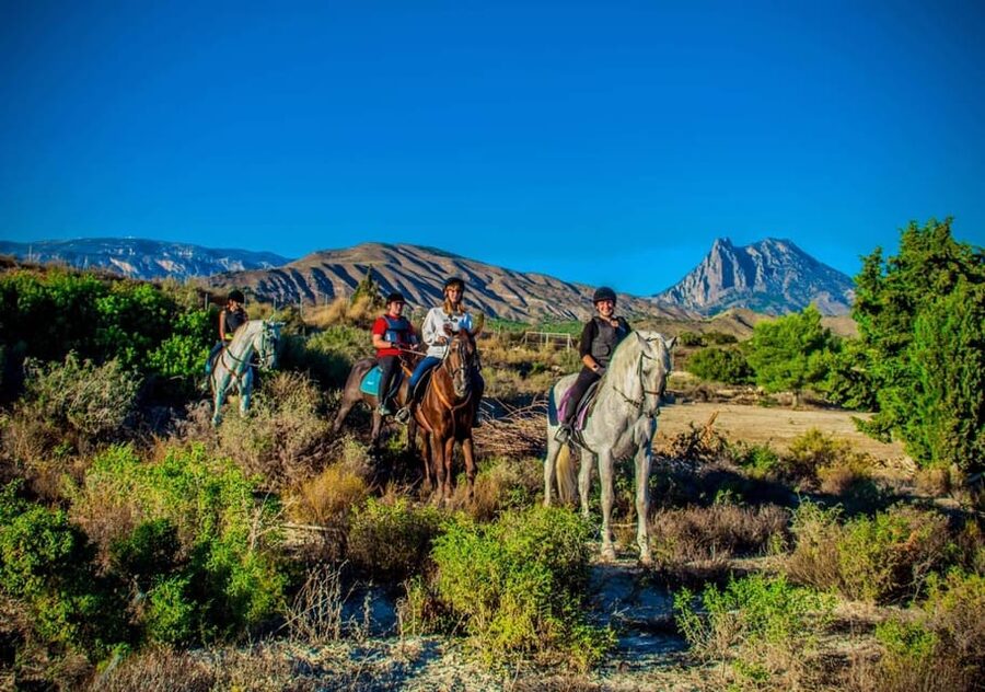 Villajoyosa Horseback Riding in the Mountains with sea views - What the one-hour route feels like