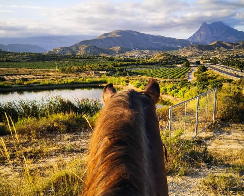 Villajoyosa Horseback Riding in the Mountains with sea views - Meeting the horses and getting started