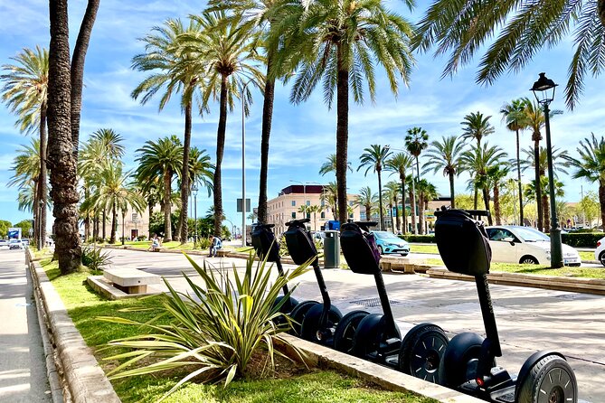 VIP Private Segway Tour of Palma - La Lonja and Es Baluard