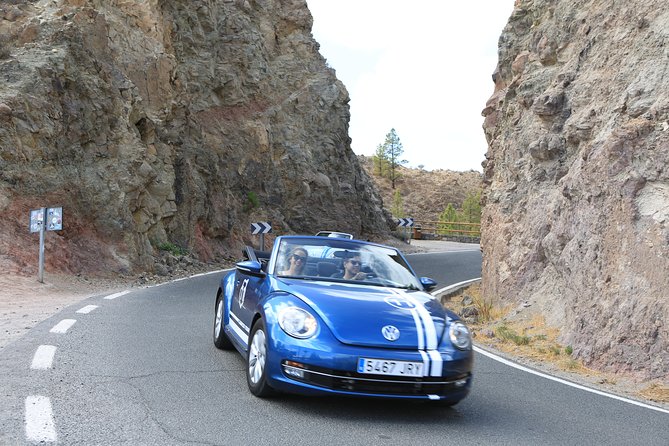 Vw Beetle Convertible Island tour Discover the island on a different way - Finca Canarias Aloe Vera and a taste of local production