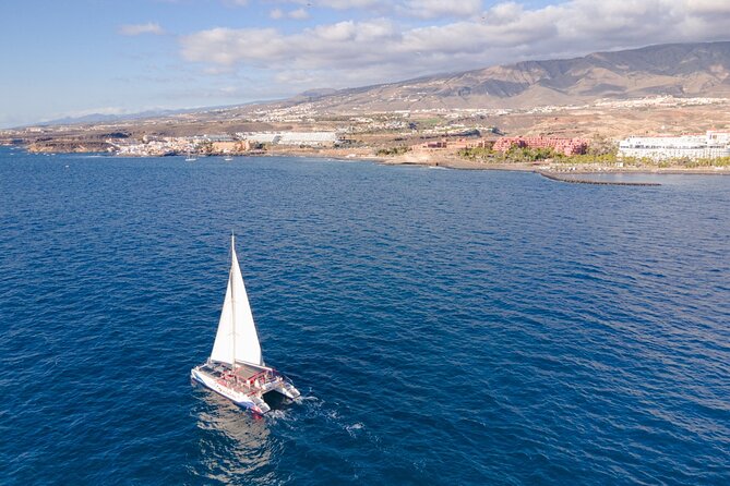 Watching and Listening Whales visiting Los Gigantes&Masca. Food&drinks included - Lunch, Canarian mojo, and drinks at sea