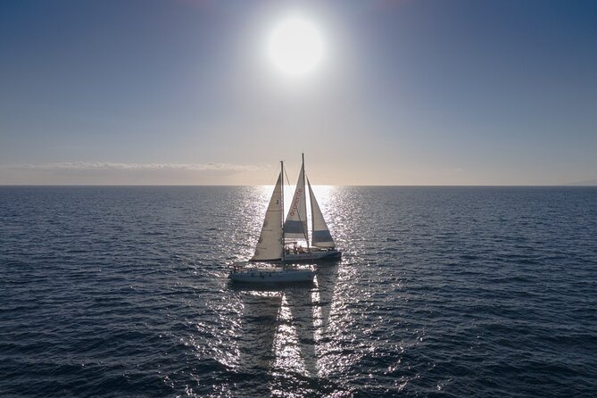 Watching and Listening Whales visiting Los Gigantes&Masca. Food&drinks included - Crew service and the feel on board