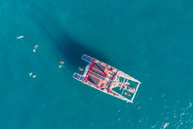 Watching and Listening Whales visiting Los Gigantes&Masca. Food&drinks included - Who will enjoy this catamaran most