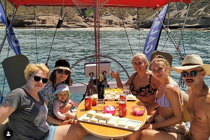 Whale and Dolphin Small Group Sailing from Tenerife South - Key points at a glance